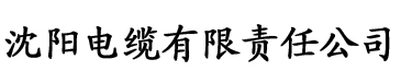 大香蕉久久在线观看电缆厂logo